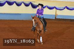 19YN_18163 thumbnail