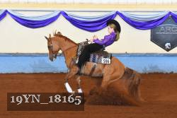 19YN_18165 thumbnail