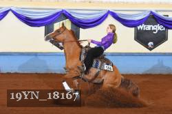 19YN_18167 thumbnail