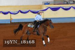 19YN_18168 thumbnail