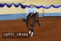 19YN_18169 thumbnail