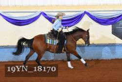 19YN_18170 thumbnail