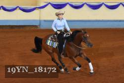 19YN_18172 thumbnail
