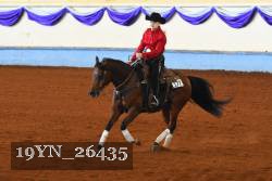 19YN_26435 thumbnail