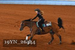 19YN_26444 thumbnail