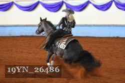 19YN_26486 thumbnail