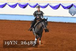19YN_26488 thumbnail