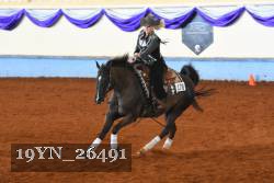 19YN_26491 thumbnail