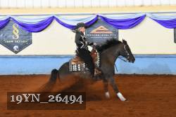 19YN_26494 thumbnail