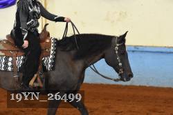 19YN_26499 thumbnail