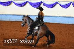 19YN_26501 thumbnail