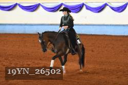 19YN_26502 thumbnail