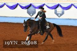 19YN_26508 thumbnail