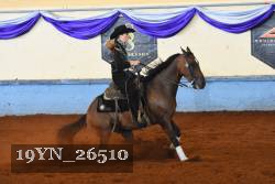 19YN_26510 thumbnail