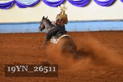 19YN_26511 thumbnail