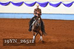 19YN_26512 thumbnail