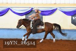 19YN_26514 thumbnail