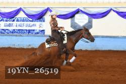 19YN_26519 thumbnail