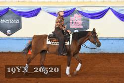 19YN_26520 thumbnail