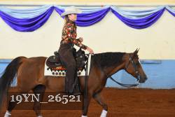 19YN_26521 thumbnail