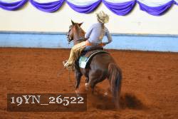 19YN_26522 thumbnail
