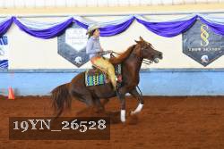 19YN_26528 thumbnail