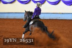 19YN_26531 thumbnail