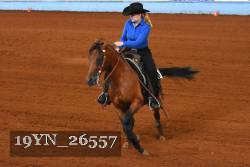 19YN_26557 thumbnail