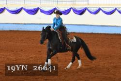 19YN_26641 thumbnail