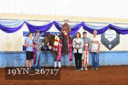 19YN_26717 thumbnail
