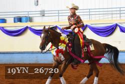 19YN_26720 thumbnail