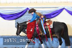 19YN_26726 thumbnail