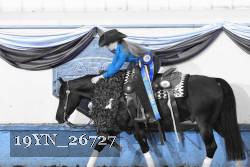 19YN_26727 thumbnail