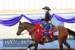 19YN_26729 thumbnail