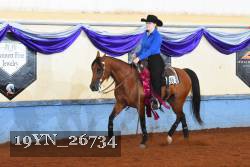 19YN_26734 thumbnail