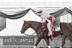 19YN_26741 thumbnail
