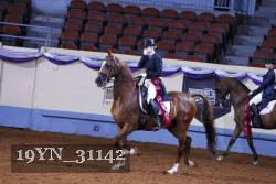19YN_31142 thumbnail