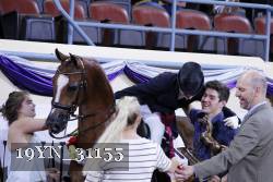 19YN_31155 thumbnail