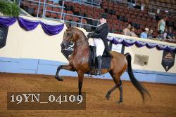 19YN_04109 thumbnail