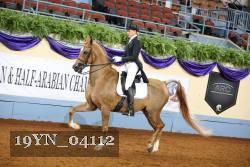 19YN_04112 thumbnail
