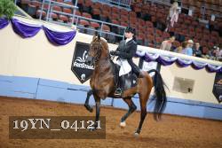 19YN_04121 thumbnail