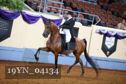 19YN_04134 thumbnail