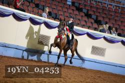 19YN_04253 thumbnail