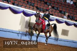 19YN_04266 thumbnail
