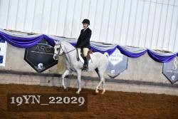 19YN_22029 thumbnail