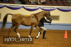 19YN_10712 thumbnail