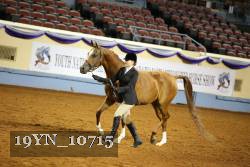 19YN_10715 thumbnail