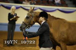 19YN_10722 thumbnail