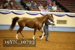 19YN_10723 thumbnail
