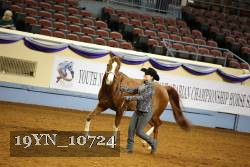 19YN_10724 thumbnail